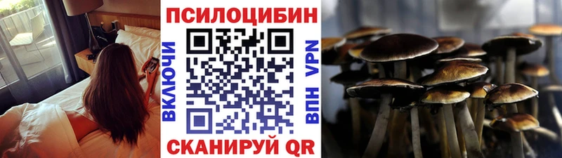 Псилоцибиновые грибы мицелий  Мамадыш 